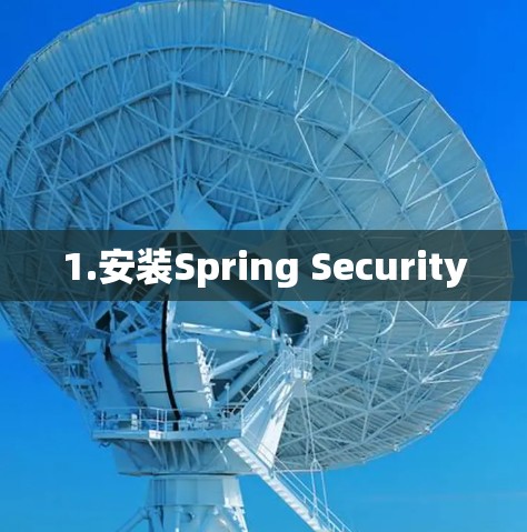1.安装Spring Security