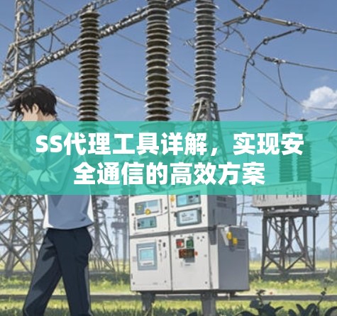 SS代理工具详解,实现安全通信的高效方案