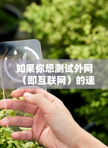 如果你想测试外网(即互联网)的速度,可以使用一些在线工具或服务来测试你的网络连接速度。以下是一些常用的方法和工具