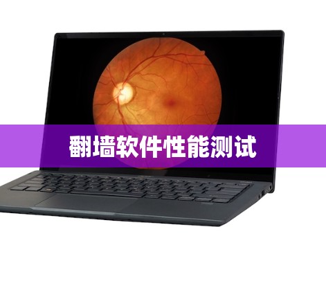 翻墙软件性能测试