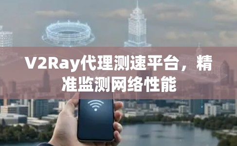 V2Ray代理测速平台,精准监测网络性能