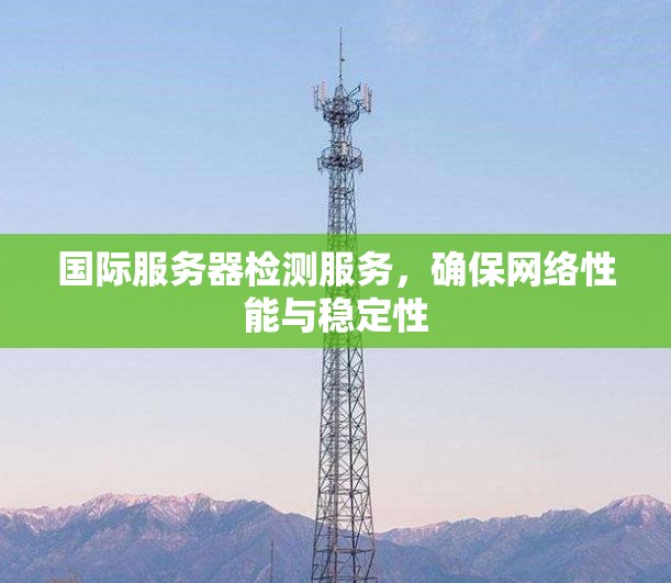 国际服务器检测服务,确保网络性能与稳定性