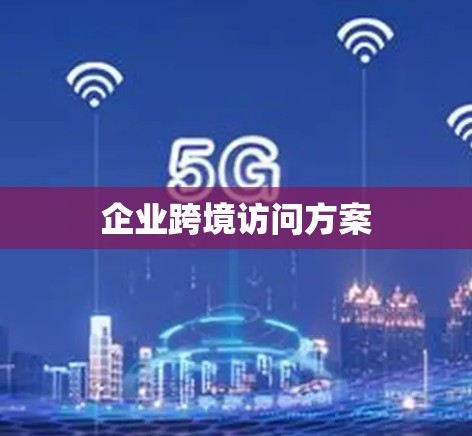企业跨境访问方案