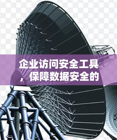 企业访问安全工具,保障数据安全的利器