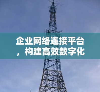 企业网络连接平台,构建高效数字化未来