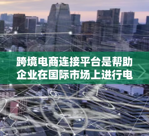 跨境电商连接平台是帮助企业在国际市场上进行电商交易的重要工具,通过提供多种功能和支持,帮助企业克服跨国交易中的挑战。以下是对其功能和作用的详细分析