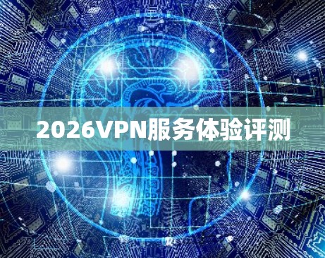 2026VPN服务体验评测