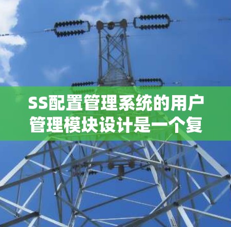 SS配置管理系统的用户管理模块设计是一个复杂而重要的任务,涉及多个关键方面。以下是对该模块的详细分析和总结