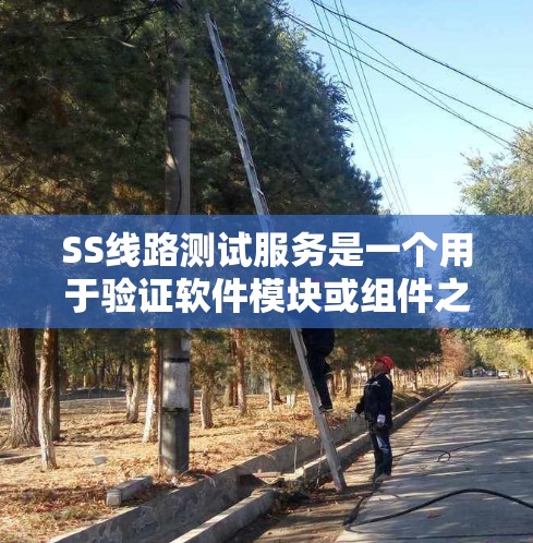 SS线路测试服务是一个用于验证软件模块或组件之间通信和集成的测试服务。以下是关于如何进行SS线路测试的分步指南