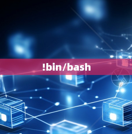 !bin/bash