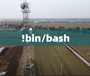 !bin/bash