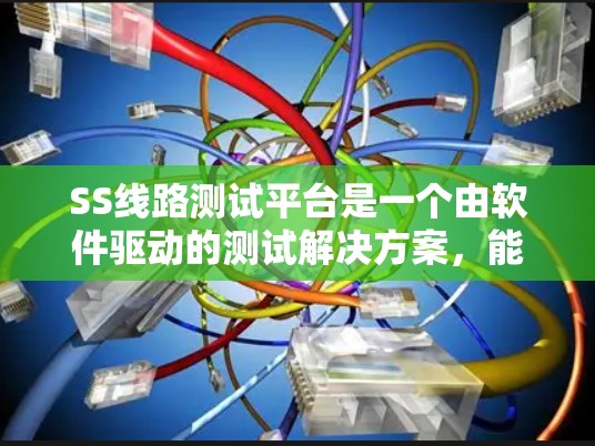 SS线路测试平台是一个由软件驱动的测试解决方案,能够通过计算机或控制器进行精确测量和控制,广泛应用于电子设备的开发、生产和维护。以下是对该平台的详细分析和总结