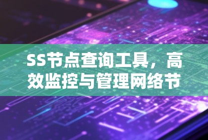 SS节点查询工具，高效监控与管理网络节点