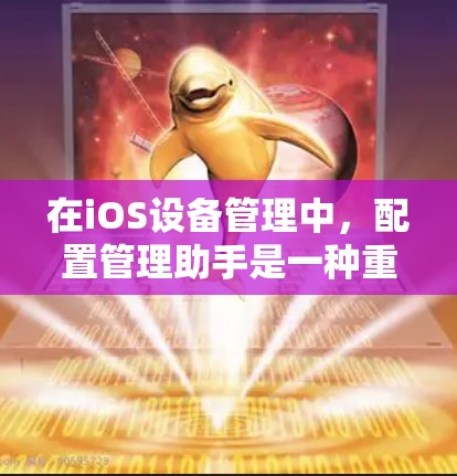 在iOS设备管理中,配置管理助手是一种重要的工具,帮助管理员高效地配置和管理大量iOS设备。以下是关于iOS配置管理助手的一些详细信息和建议