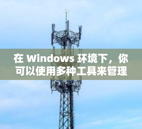 在 Windows 环境下,你可以使用多种工具来管理代理设置,以下是一些常用的代理管理工具和方法