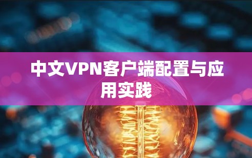 中文VPN客户端配置与应用实践