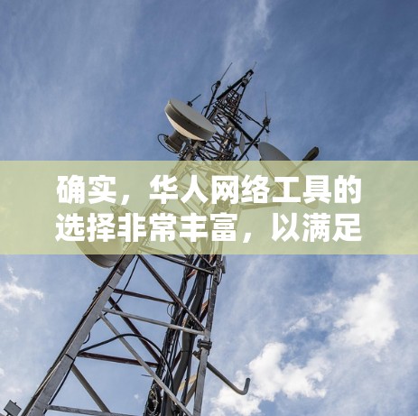 确实,华人网络工具的选择非常丰富,以满足不同的需求。以下是一些推荐,涵盖社交、视频、购物、学习、娱乐等多个方面