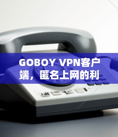 GOBOY VPN客户端,匿名上网的利弊与选择 GOBOY VPN客户端,匿名上网的利弊与选择