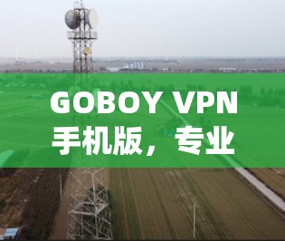 GOBOY VPN手机版,专业的移动网络安全与隐私保护解决方案
