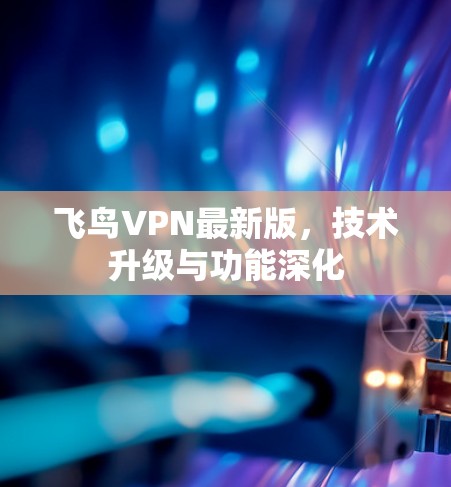 飞鸟VPN最新版,技术升级与功能深化