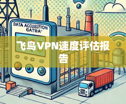 飞鸟VPN速度评估报告