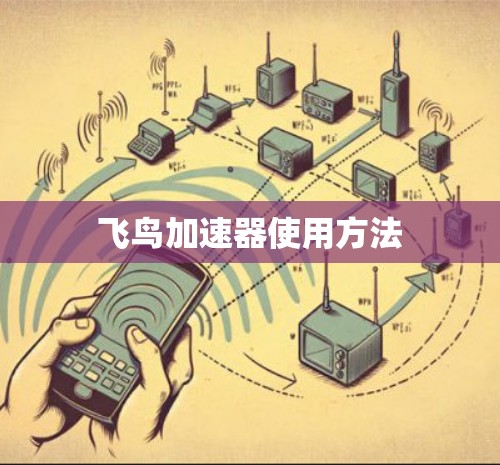 飞鸟加速器使用方法 飞鸟加速器使用方法