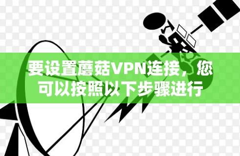 要设置蘑菇VPN连接，您可以按照以下步骤进行