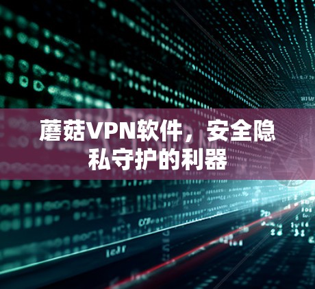 蘑菇VPN软件,安全隐私守护的利器