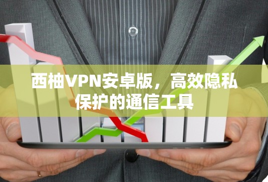 西柚VPN安卓版,高效隐私保护的通信工具