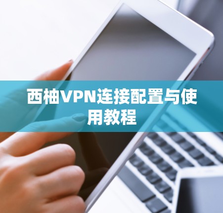 西柚VPN连接配置与使用教程