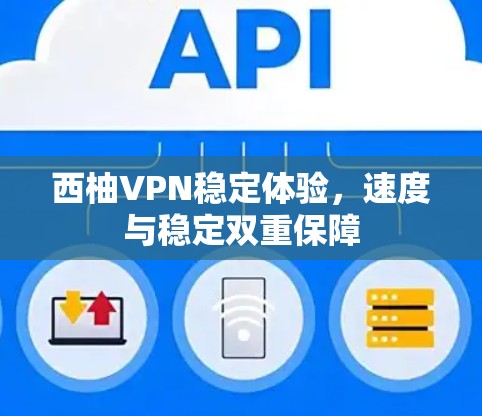 西柚VPN稳定体验,速度与稳定双重保障