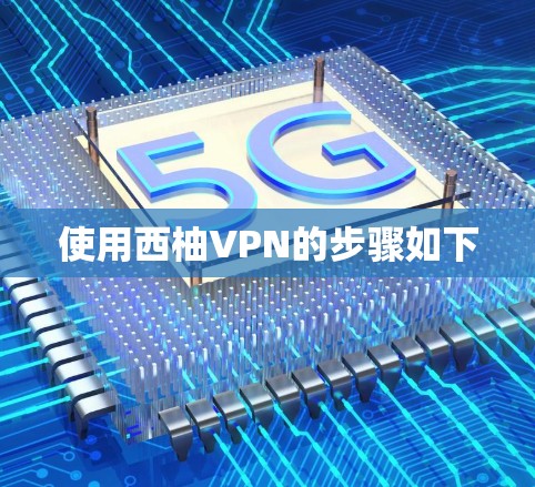 使用西柚VPN的步骤如下