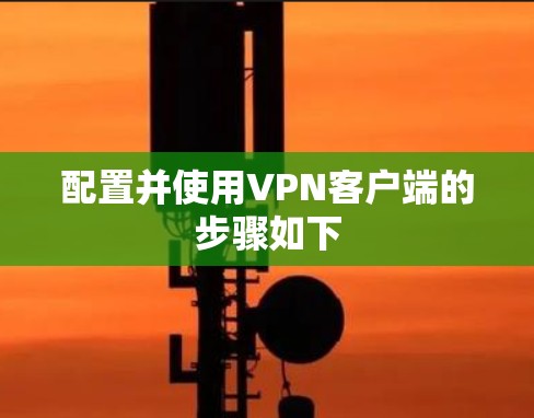 配置并使用VPN客户端的步骤如下