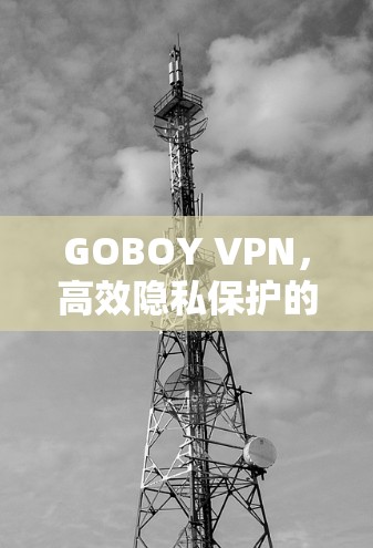 GOBOY VPN,高效隐私保护的安卓应用
