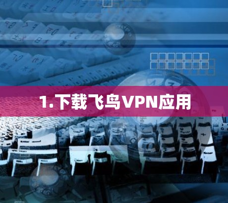 1.下载飞鸟VPN应用