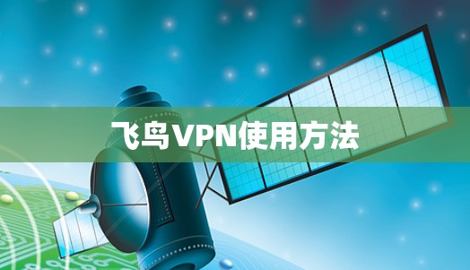 飞鸟VPN使用方法