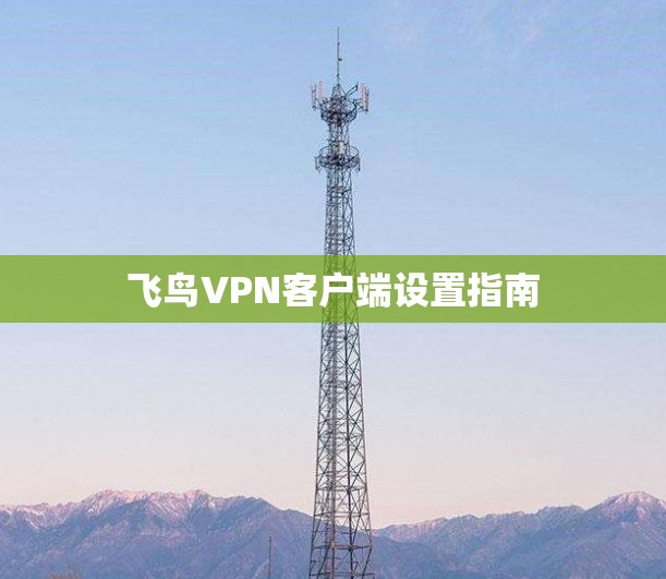 飞鸟VPN客户端设置指南