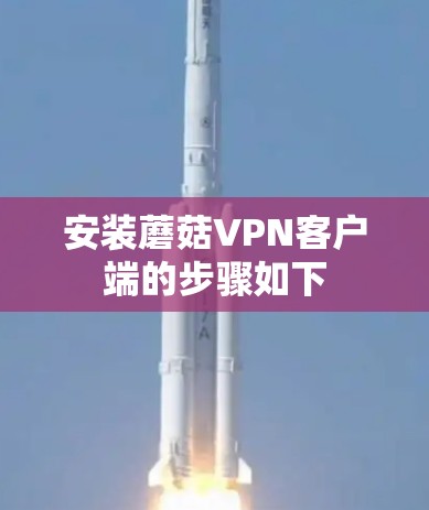 安装蘑菇VPN客户端的步骤如下