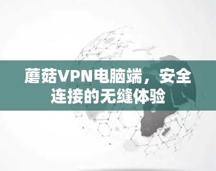 蘑菇VPN电脑端,安全连接的无缝体验