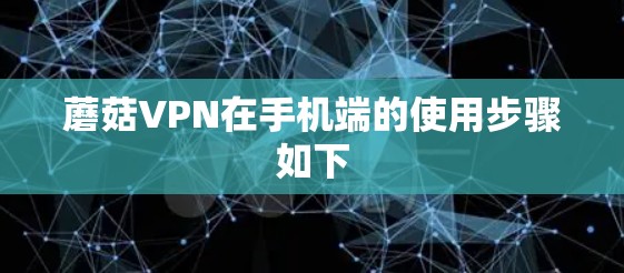 蘑菇VPN在手机端的使用步骤如下