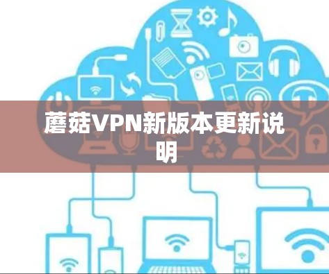 蘑菇VPN新版本更新说明