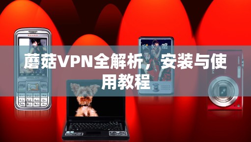 蘑菇VPN全解析，安装与使用教程