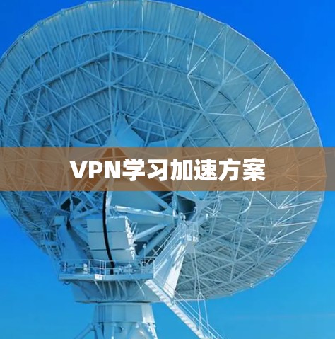 VPN学习加速方案