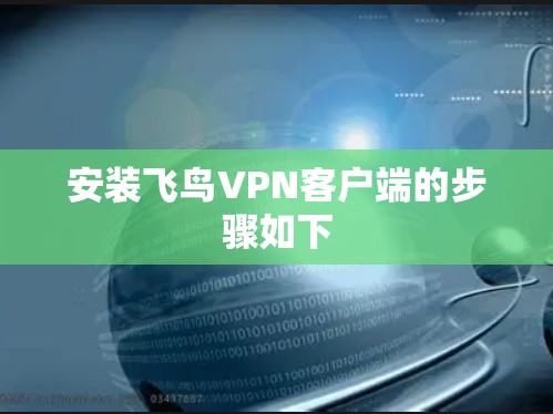 安装飞鸟VPN客户端的步骤如下