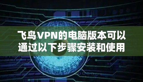 飞鸟VPN的电脑版本可以通过以下步骤安装和使用