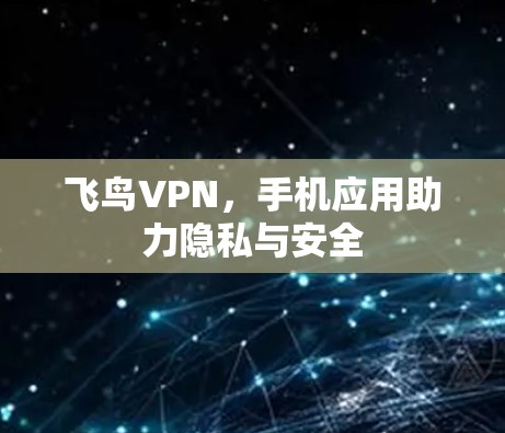 飞鸟VPN,手机应用助力隐私与安全