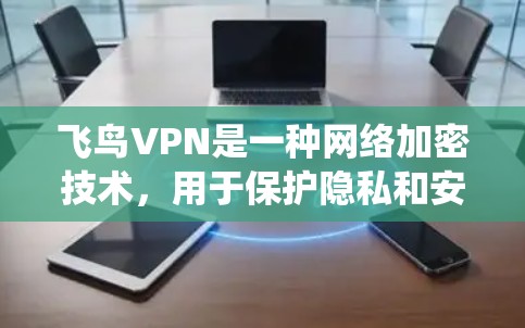 飞鸟VPN是一种网络加密技术,用于保护隐私和安全,或者绕过地理限制。以下是使用飞鸟VPN连接的基本方法(假设你已下载并安装了飞鸟VPN客户端)