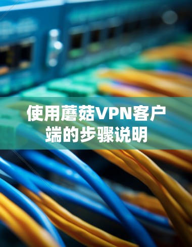 使用蘑菇VPN客户端的步骤说明