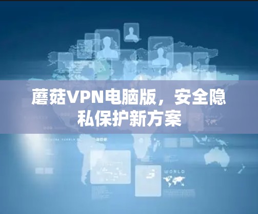 蘑菇VPN电脑版,安全隐私保护新方案