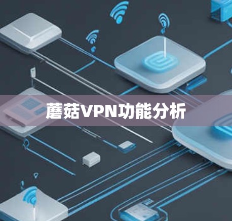 蘑菇VPN功能分析